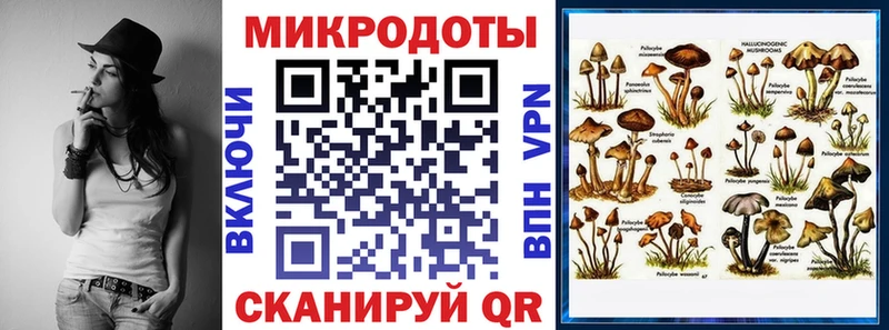 Купить закладки  Катав-Ивановск  Галлюциногенные грибы мухоморы 
